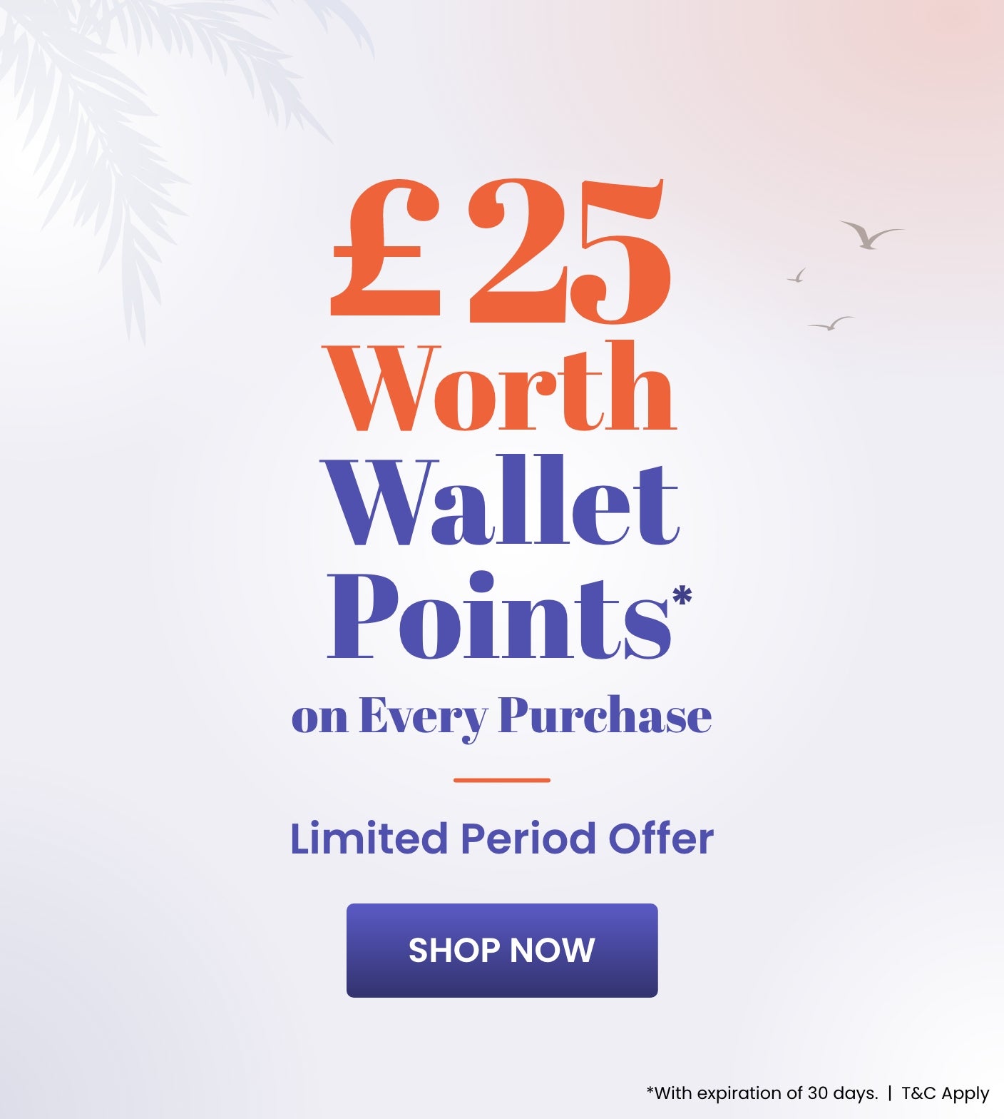 Wallet Offer_C1_SB_1006-1706_UK
