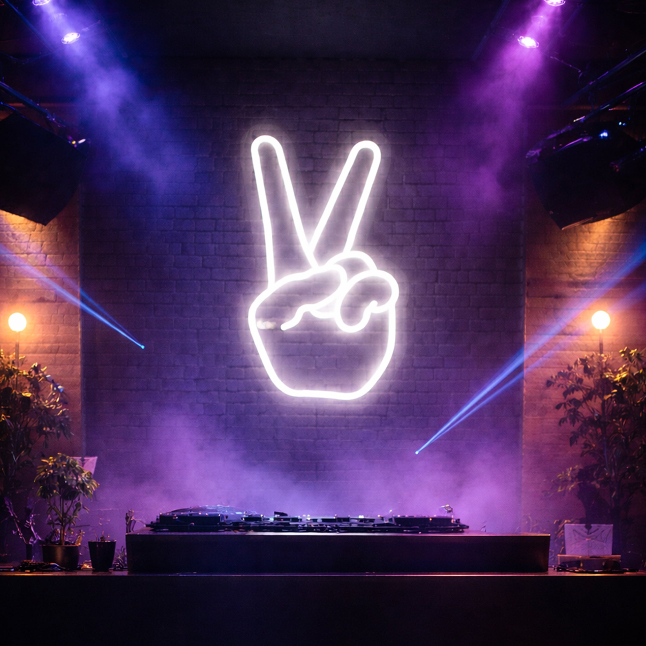 Decorative Neon Signs