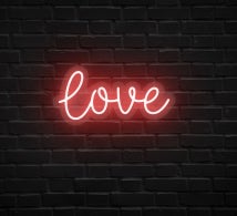 Love Neon Sign