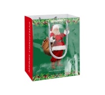 Printed Gloss Paper Bags