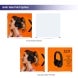6 m Backlit Exhibition Display - Design 6