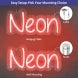 A Little Party Never Killed Nobody Neon Sign
