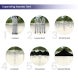 Blank Canopy Tent Expanding Canopy Tent