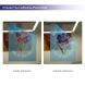 Clear Window Clings