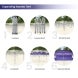  Custom-Canopy-Tent-10-20-Expanding-Canopy-Tent