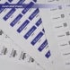 Destructible Asset Labels