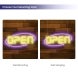 Open Neon Sign
