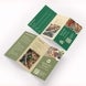 Brochure Printing