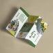 Brochure Printing