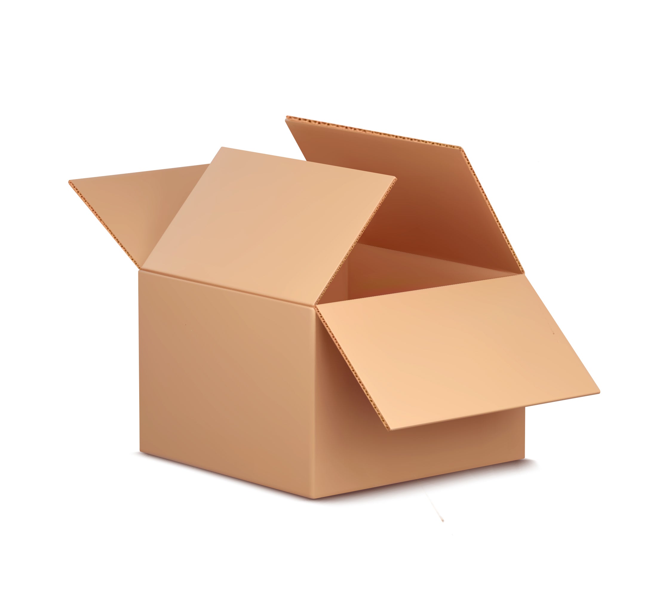 50 Pack 10x3x12.5 Corrugated Security Shipping Boxes – Cardboard, Lightweight